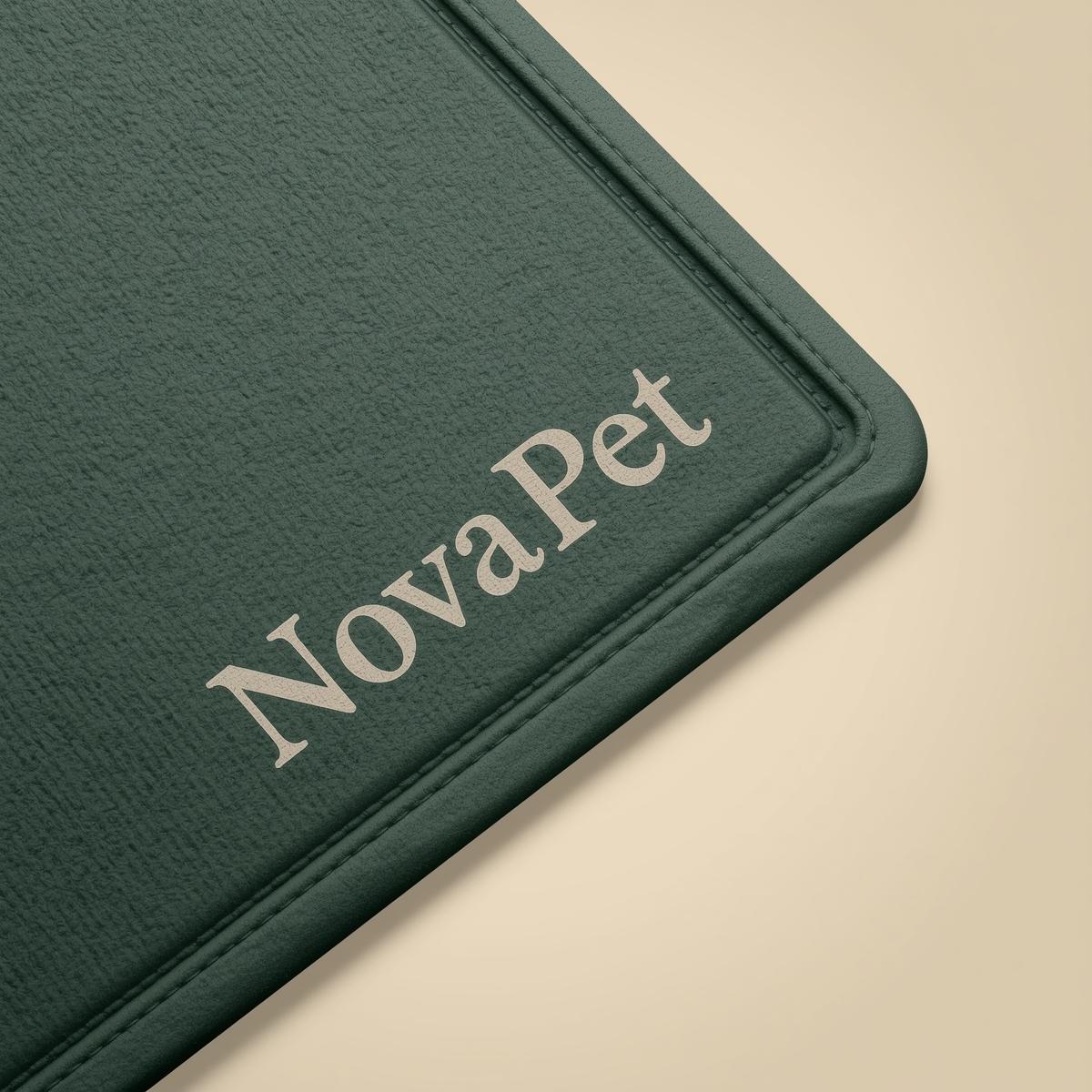 Premium Pet Feeding Mat